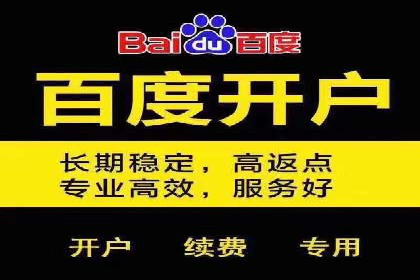 百度竞价运营的挑战与机遇：成功案例探讨